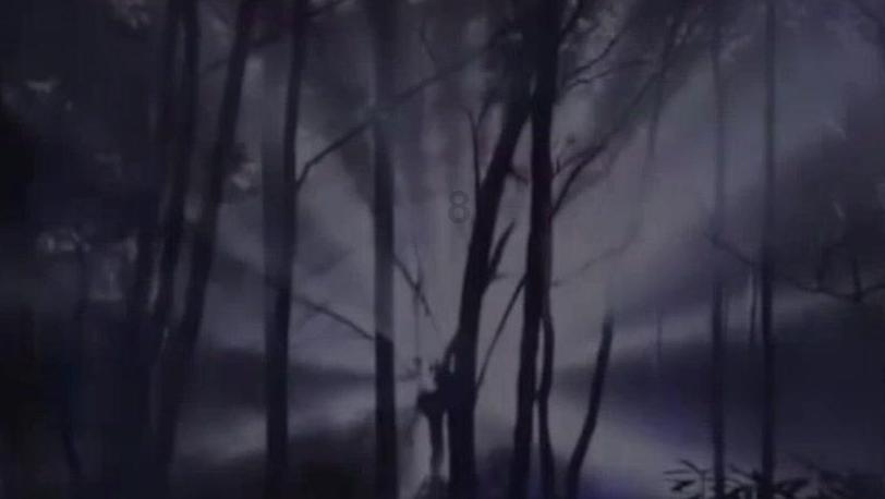 雷竞技比分